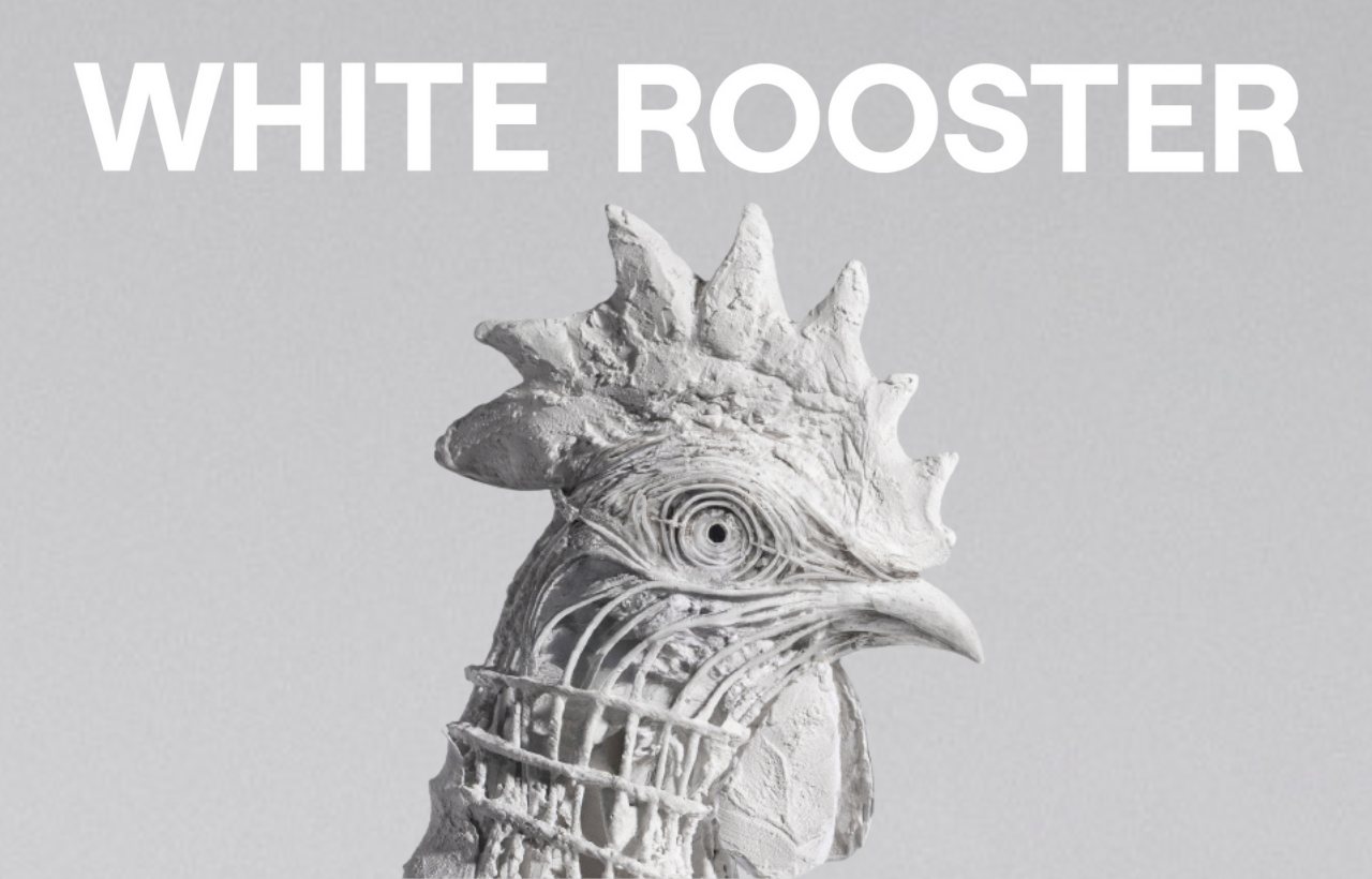 White Rooster
